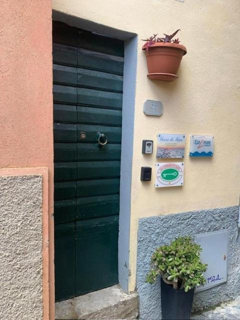 Casamare Apartment Riomaggiore Exterior foto